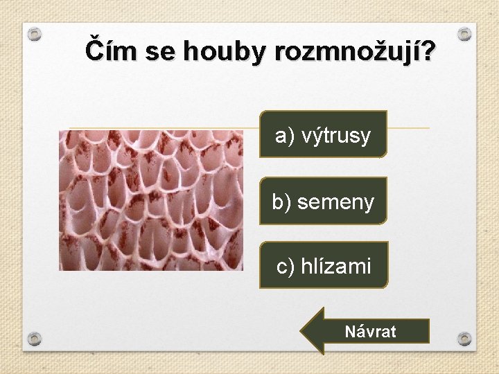 Čím se houby rozmnožují? a) výtrusy b) semeny c) hlízami Návrat 