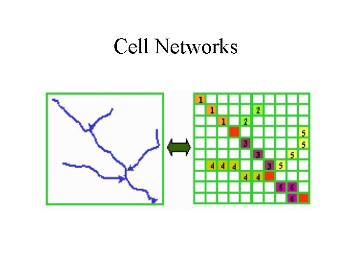 Cell Networks 