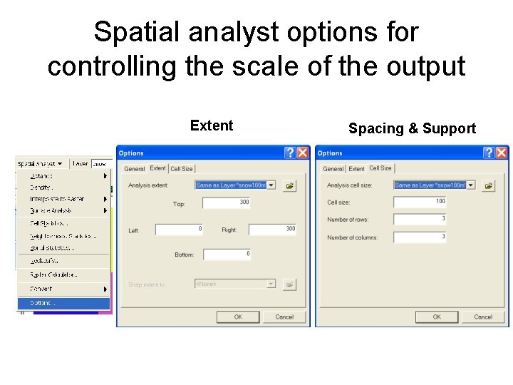 Spatial analyst options for controlling the scale of the output Extent Spacing & Support