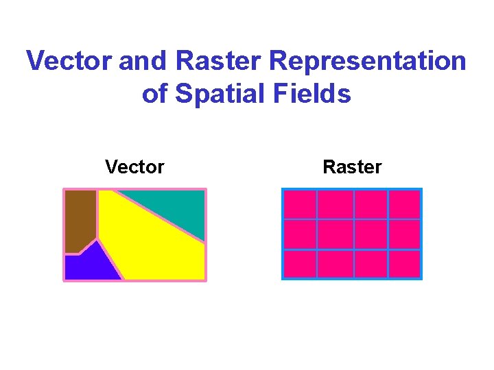 Vector and Raster Representation of Spatial Fields Vector Raster 