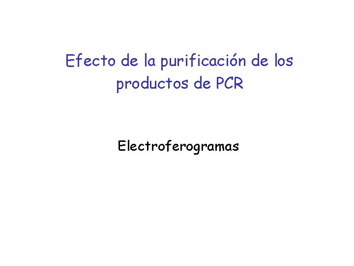 Efecto de la purificación de los productos de PCR Electroferogramas 