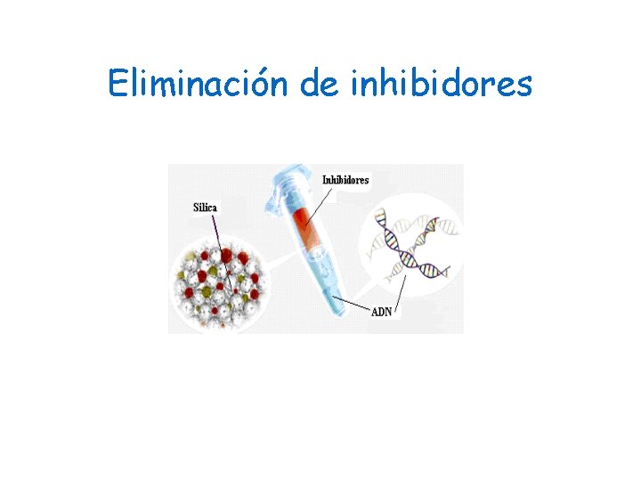 Eliminación de inhibidores 