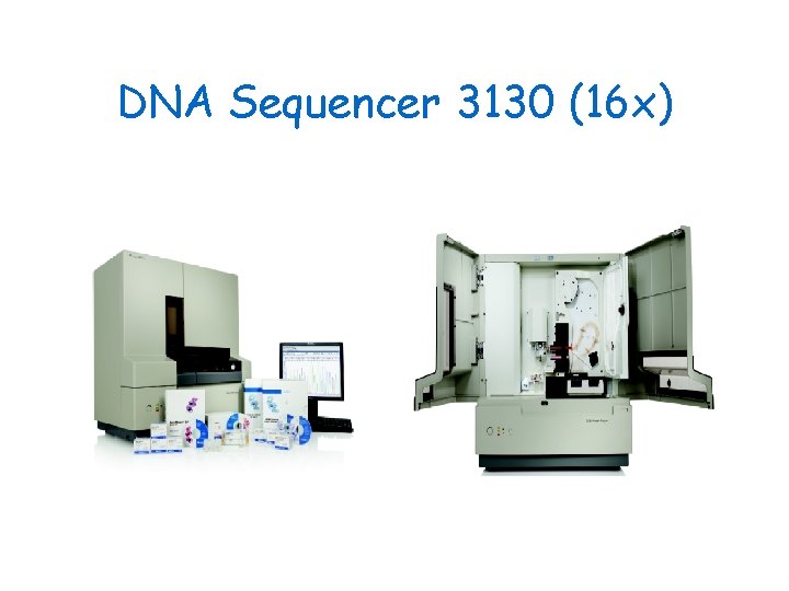 DNA Sequencer 3130 (16 x) 