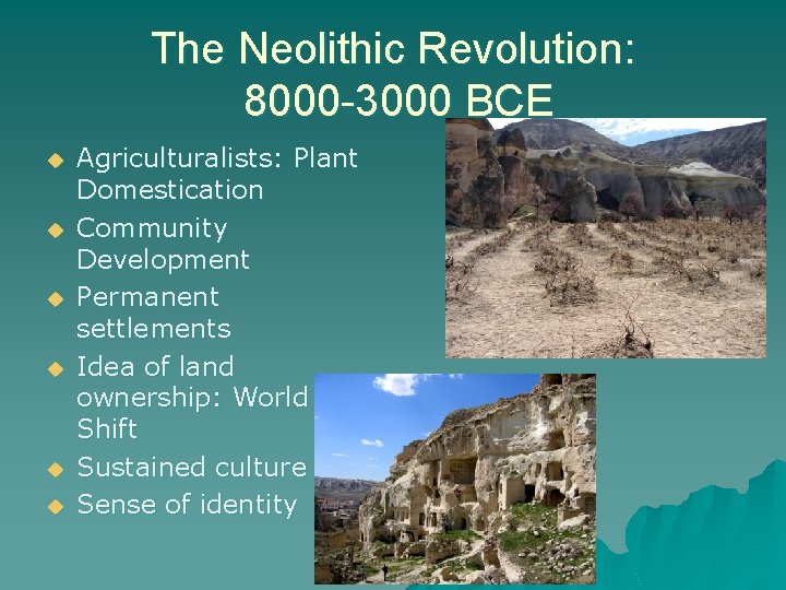 The Neolithic Revolution: 8000 -3000 BCE u u u Agriculturalists: Plant Domestication Community Development