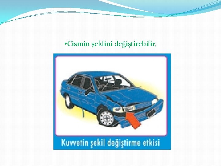  • Cismin şeklini değiştirebilir, 