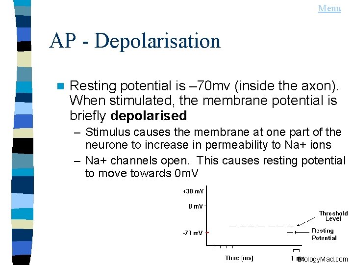 Menu AP - Depolarisation n Resting potential is – 70 mv (inside the axon).