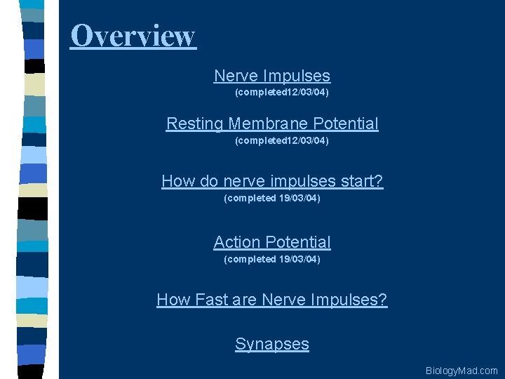 Overview Nerve Impulses (completed 12/03/04) Resting Membrane Potential (completed 12/03/04) How do nerve impulses