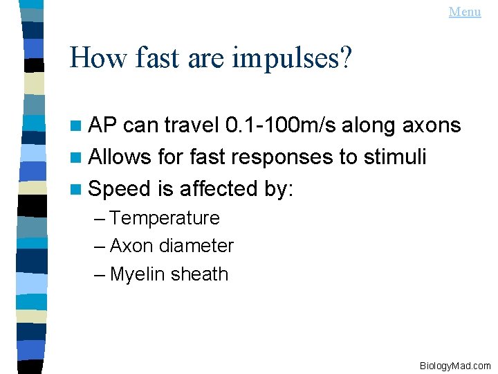Menu How fast are impulses? n AP can travel 0. 1 -100 m/s along