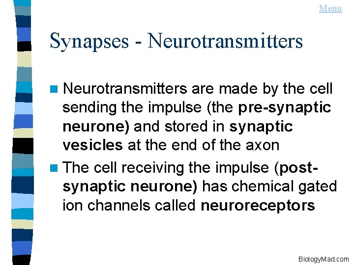 Menu Synapses - Neurotransmitters n Neurotransmitters are made by the cell sending the impulse