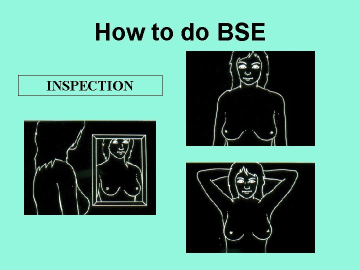 How to do BSE INSPECTION 