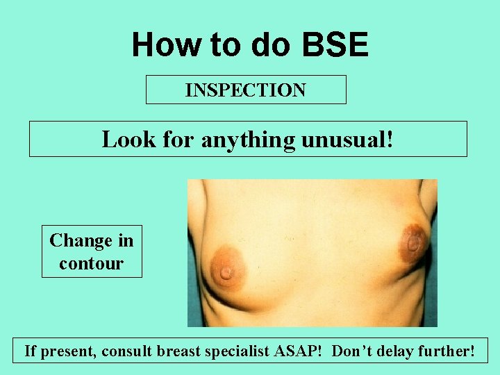 How to do BSE INSPECTION Look for anything unusual! Change in contour If present,