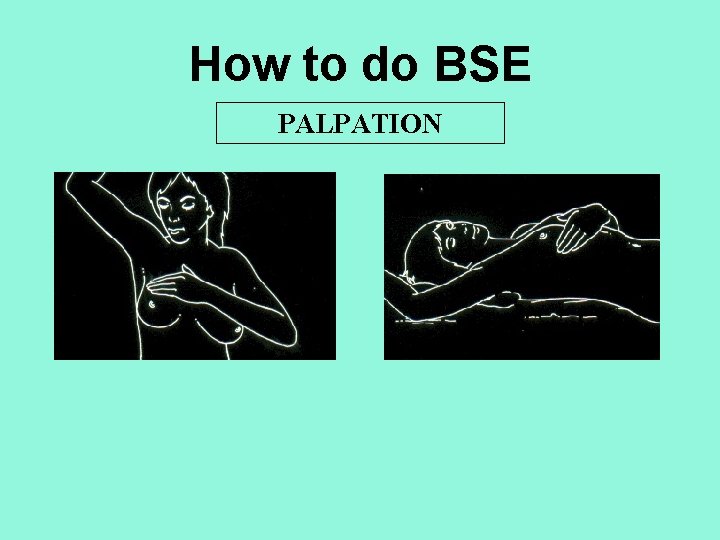How to do BSE PALPATION 