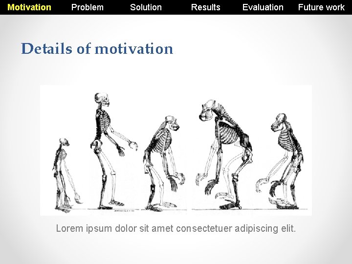 Motivation Problem Solution Results Evaluation Details of motivation Lorem ipsum dolor sit amet consectetuer