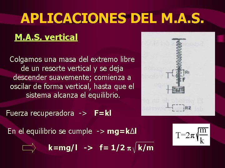 APLICACIONES DEL M. A. S. vertical Colgamos una masa del extremo libre de un