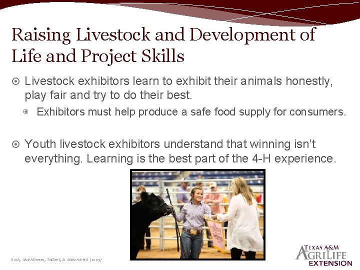 Raising Livestock and Development of Life and Project Skills Livestock exhibitors learn to exhibit