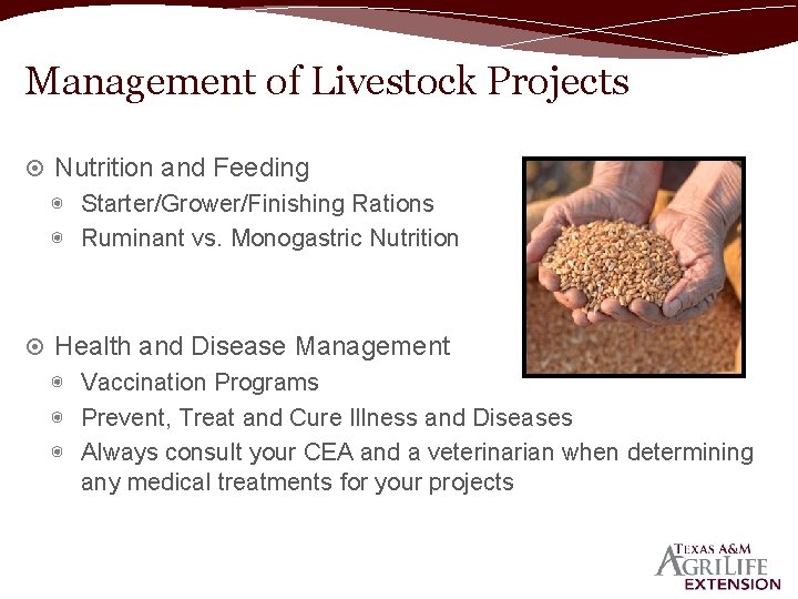Management of Livestock Projects Nutrition and Feeding ◉ Starter/Grower/Finishing Rations ◉ Ruminant vs. Monogastric