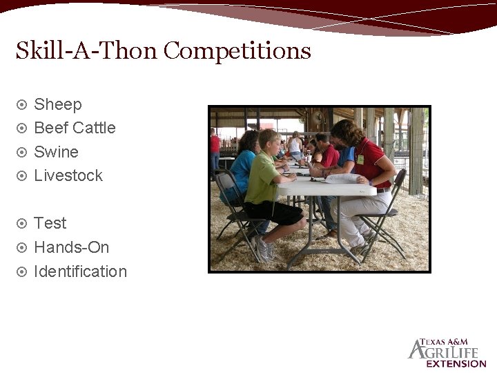 Skill-A-Thon Competitions Sheep Beef Cattle Swine Livestock Test Hands-On Identification 