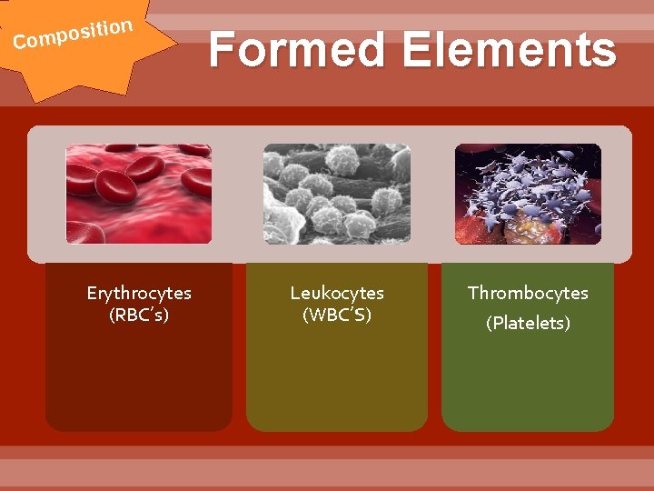 ion t i s o p Com Erythrocytes (RBC’s) Formed Elements Leukocytes (WBC’S) Thrombocytes