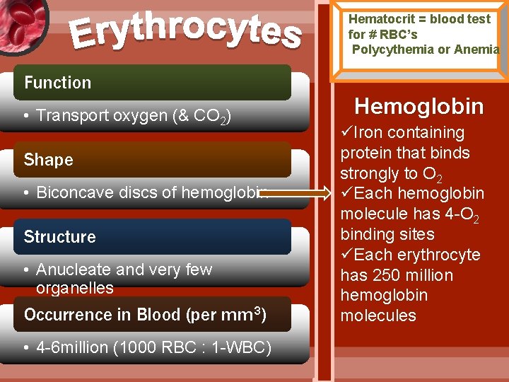Hematocrit = blood test for # RBC’s Polycythemia or Anemia Function • Transport oxygen