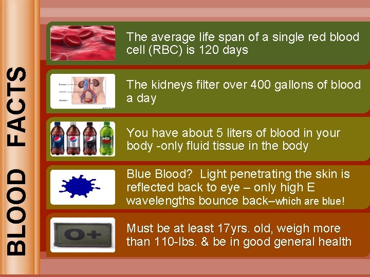 BLOOD FACTS The average life span of a single red blood cell (RBC) is