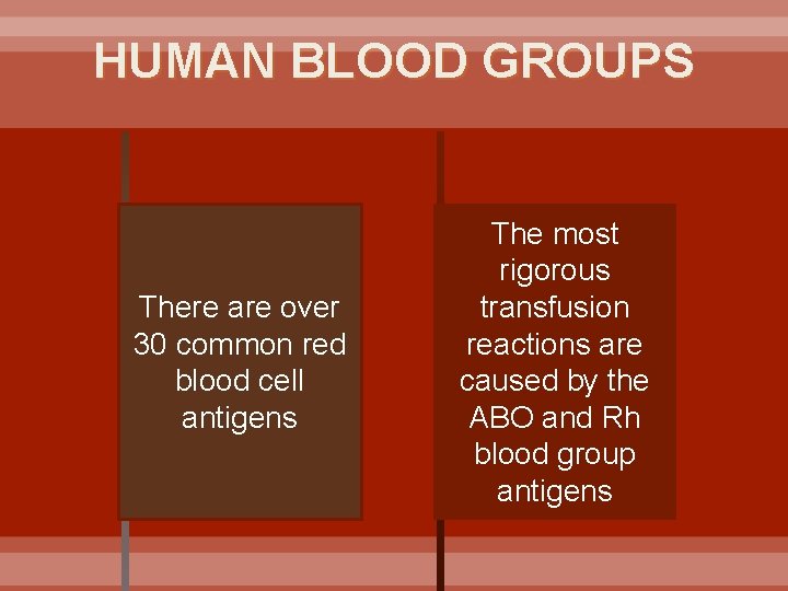 HUMAN BLOOD GROUPS There are over 30 common red blood cell antigens The most