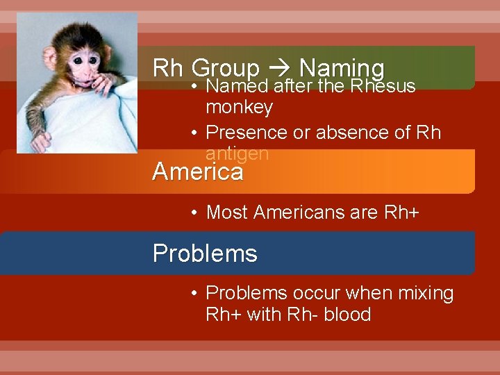 Rh Group Naming • Named after the Rhesus monkey • Presence or absence of