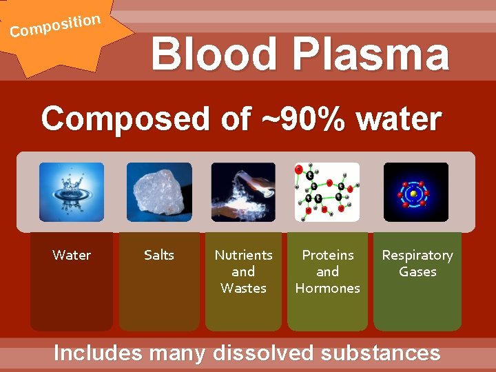 ion t i s o p Com Blood Plasma Composed of ~90% water Water