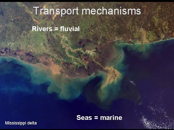 Transport mechanisms Rivers = fluvial Mississippi delta Seas = marine 