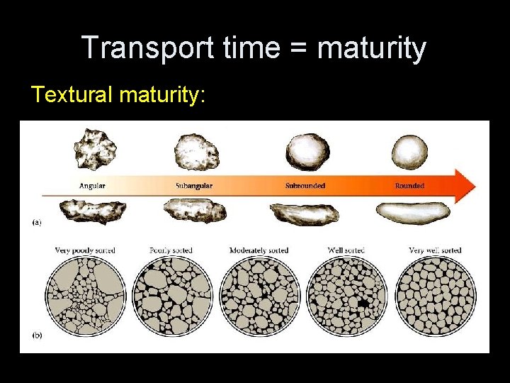 Transport time = maturity Textural maturity: 