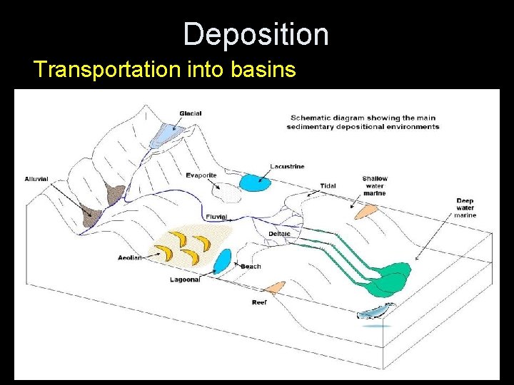Deposition Transportation into basins 