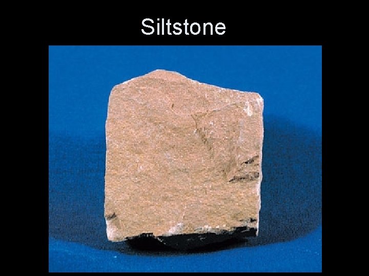 Siltstone 