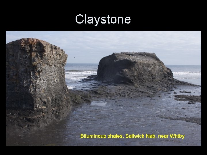 Claystone Bituminous shales, Saltwick Nab, near Whtby 
