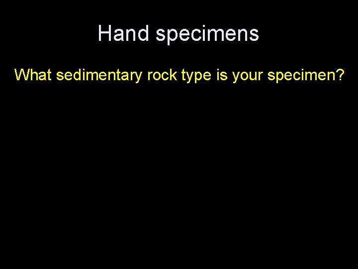 Hand specimens What sedimentary rock type is your specimen? 