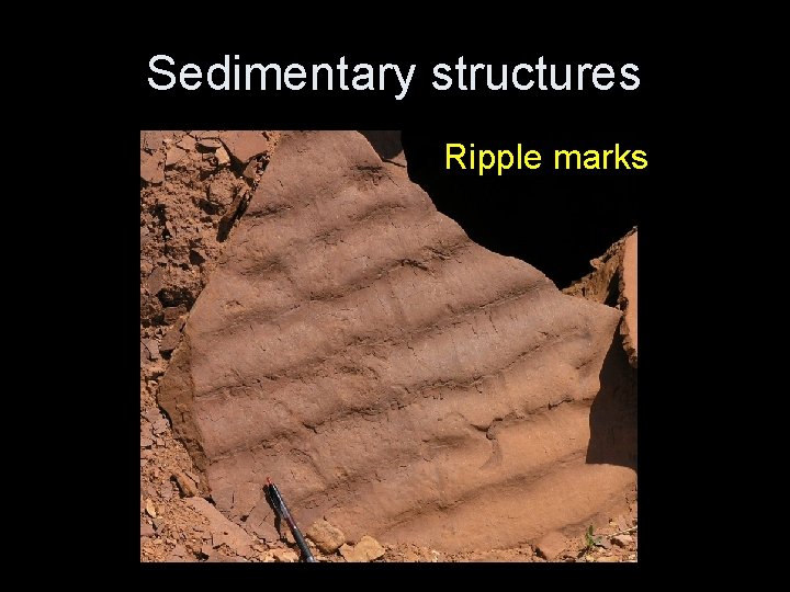 Sedimentary structures Ripple marks 