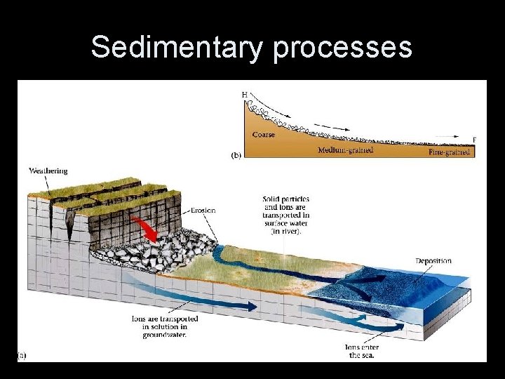 Sedimentary processes 