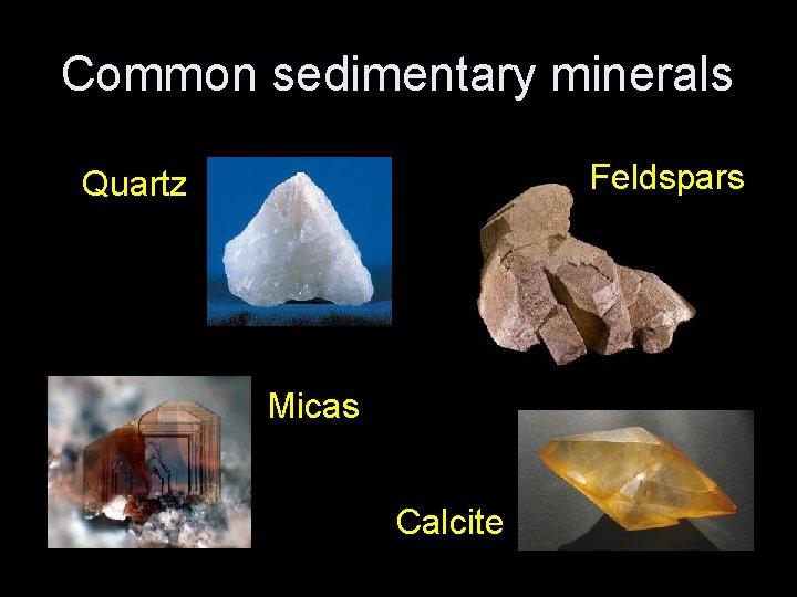 Common sedimentary minerals Feldspars Quartz Micas Calcite 