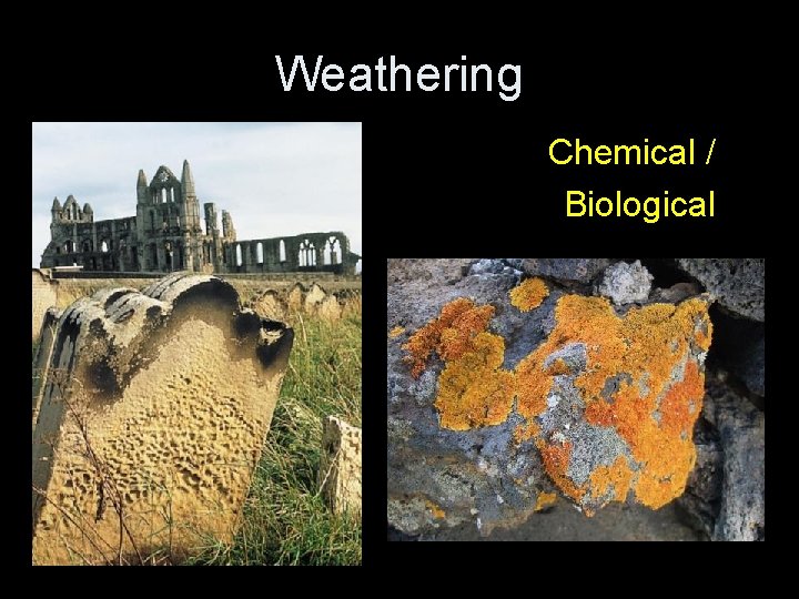 Weathering Chemical / Biological 