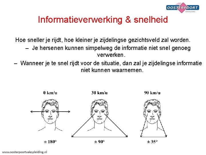 Informatieverwerking & snelheid Hoe sneller je rijdt, hoe kleiner je zijdelingse gezichtsveld zal worden.