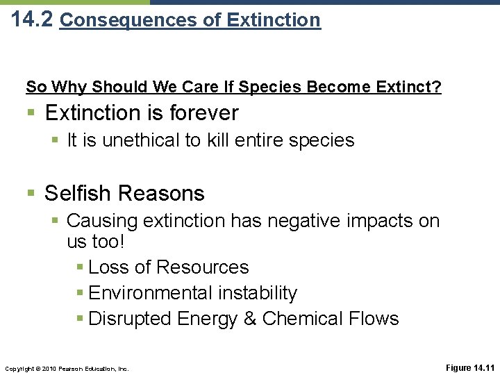 14. 2 Consequences of Extinction So Why Should We Care If Species Become Extinct?