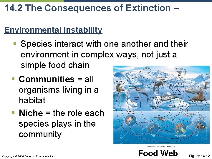 14. 2 The Consequences of Extinction – Environmental Instability § Species interact with one