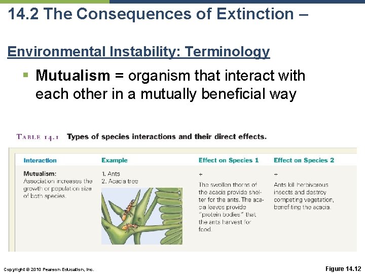 14. 2 The Consequences of Extinction – Environmental Instability: Terminology § Mutualism = organism