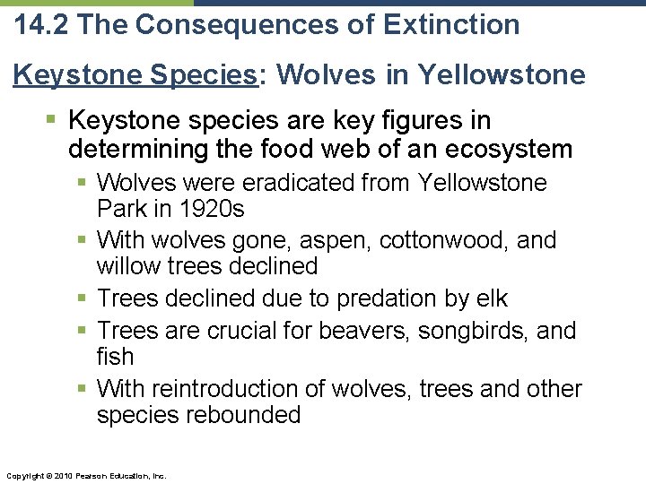 14. 2 The Consequences of Extinction Keystone Species: Wolves in Yellowstone § Keystone species