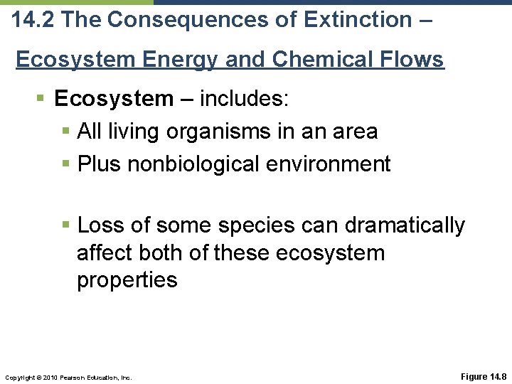 14. 2 The Consequences of Extinction – Ecosystem Energy and Chemical Flows § Ecosystem