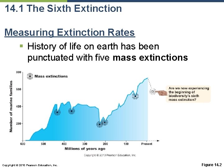 14. 1 The Sixth Extinction Measuring Extinction Rates § History of life on earth