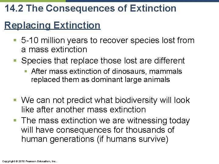 14. 2 The Consequences of Extinction Replacing Extinction § 5 -10 million years to