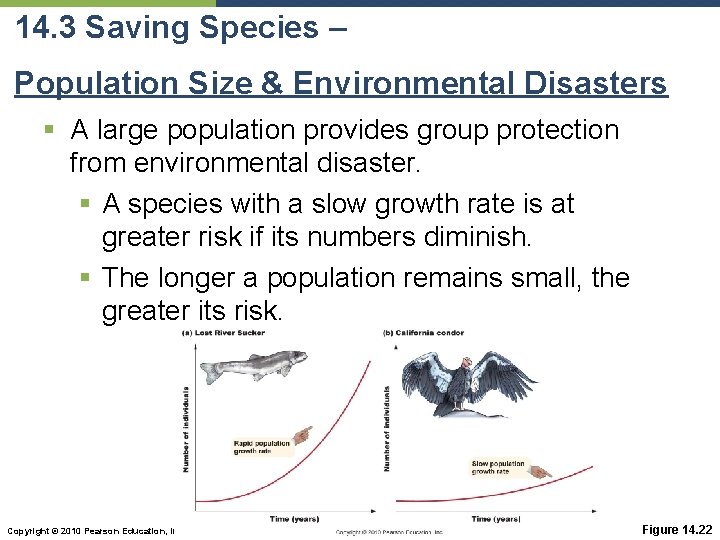 14. 3 Saving Species – Population Size & Environmental Disasters § A large population