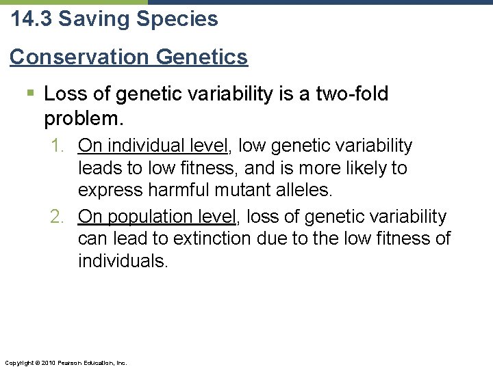 14. 3 Saving Species Conservation Genetics § Loss of genetic variability is a two-fold