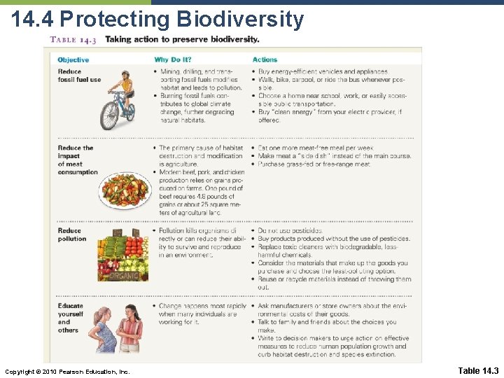 14. 4 Protecting Biodiversity Copyright © 2010 Pearson Education, Inc. Table 14. 3 