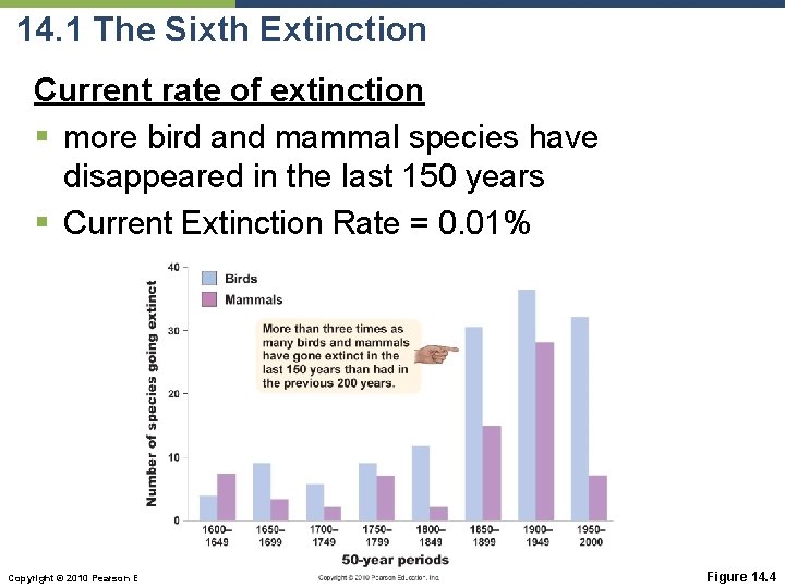 14. 1 The Sixth Extinction Current rate of extinction § more bird and mammal