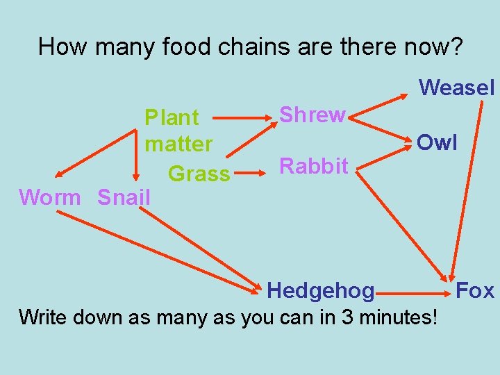 How many food chains are there now? Weasel Plant matter Grass Worm Snail Shrew